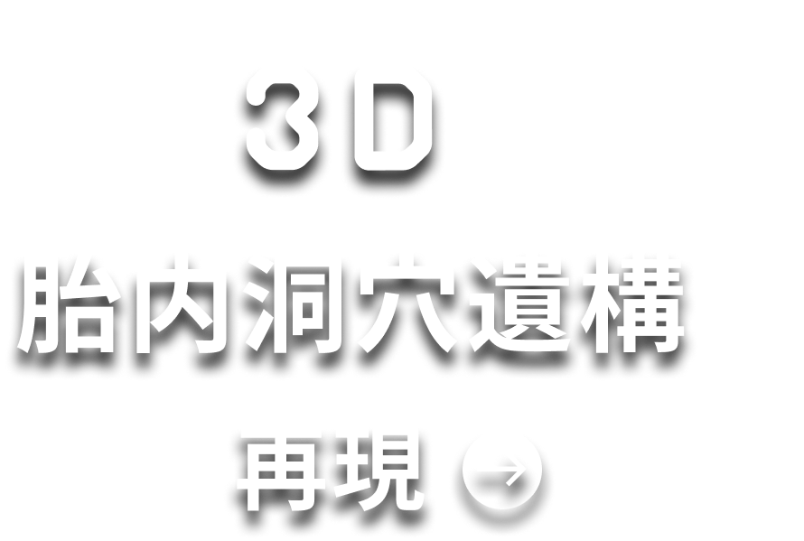 3Dで見る、新富士遺跡再現