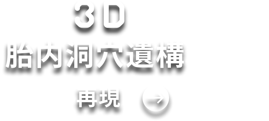 3Dで見る、新富士遺跡再現